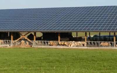 Actualité hangar photovoltaïque 2021 : quels changements pour mon exploitation agricole ?