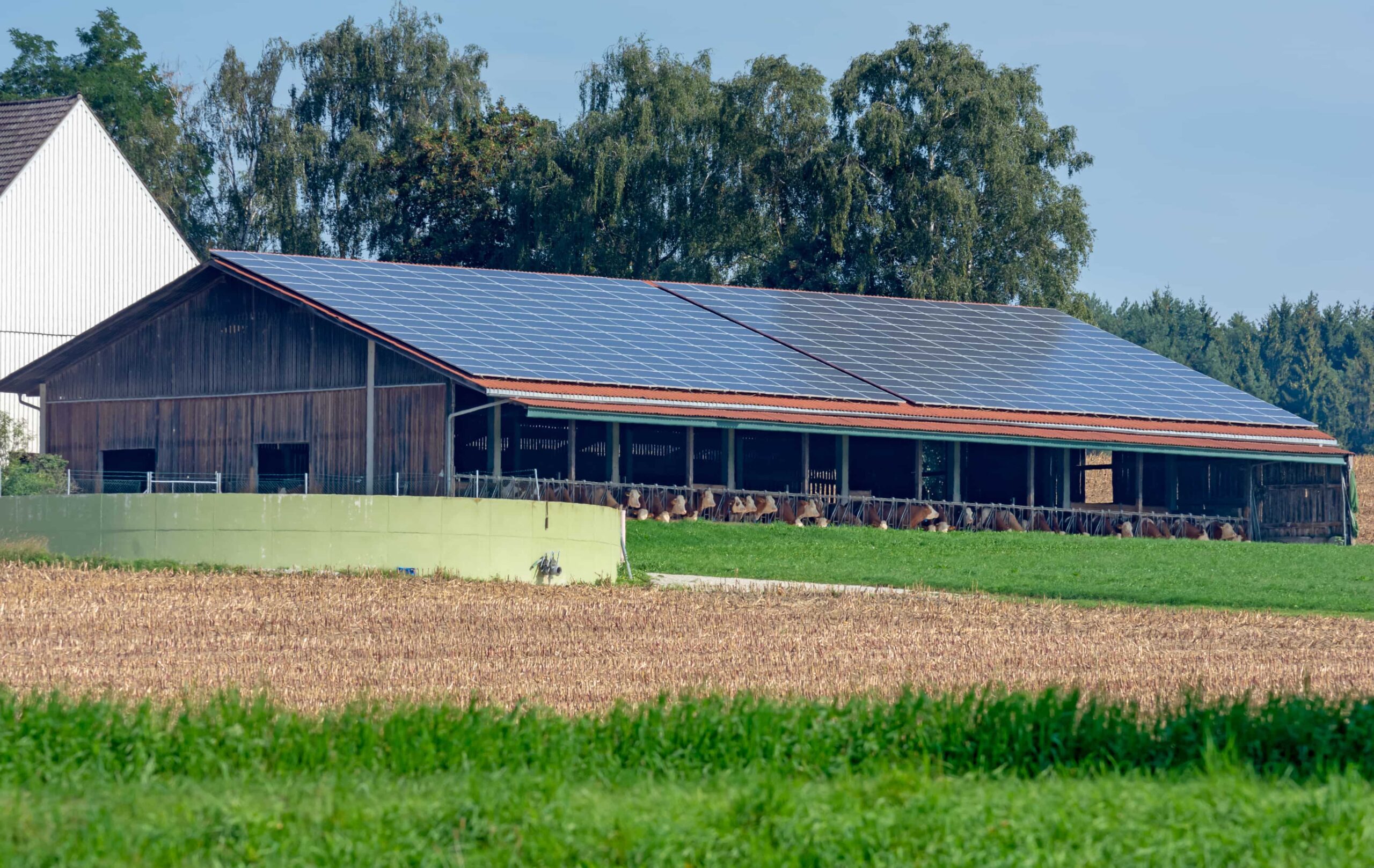 location toiture batiment agricole a construire