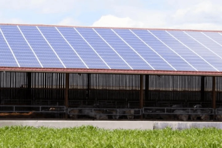 construction hangar solaire gard autofinance