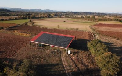 Comment développer son activité agricole grâce au photovoltaïque ?